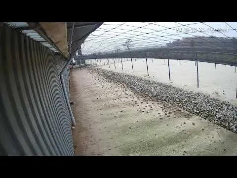 Laatste beeld van Kipster Ysselsteyn buitentuin stal 2