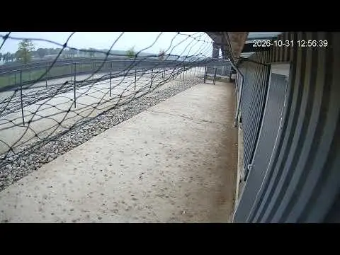 Laatste beeld van Kipster Ysselsteyn buitentuin stal 1
