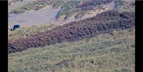 Laatste beeld van Beach View Cadzand-Bad