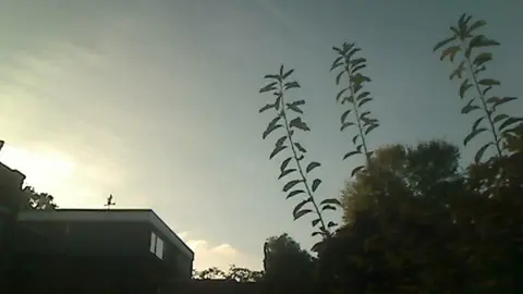 Laatste beeld van Meteo Hoogland (weerstation-cam)