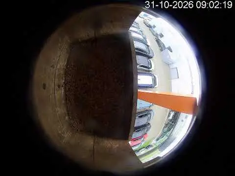 Laatste beeld van Vogelhuis Schoolderman Zutphen
