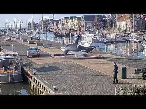 Laatste beeld van Dormakade Urk 2