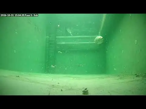 Laatste beeld van Zeehondencentrum Lauwersoog fase 3 onderwater