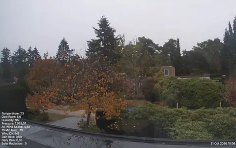 Laatste beeld van Weathercam Son en Breugel
