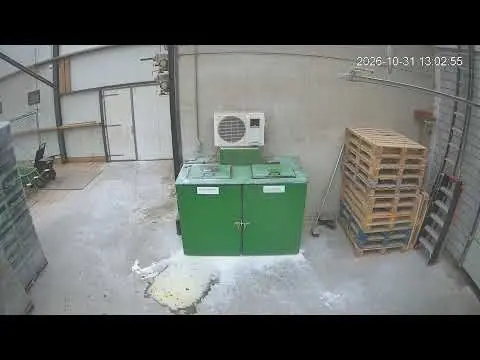 Laatste beeld van Kipster Ysselsteyn kadaverton