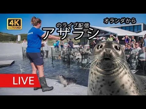 Laatste beeld van Ecomare Seal Sanctuary on Texel