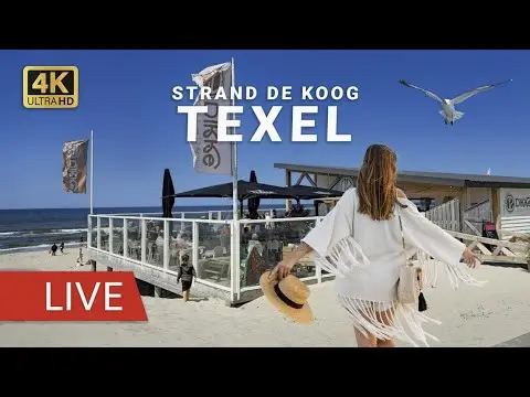 Laatste beeld van Texel Strand De Koog Paal 20 Dikke Zeehond