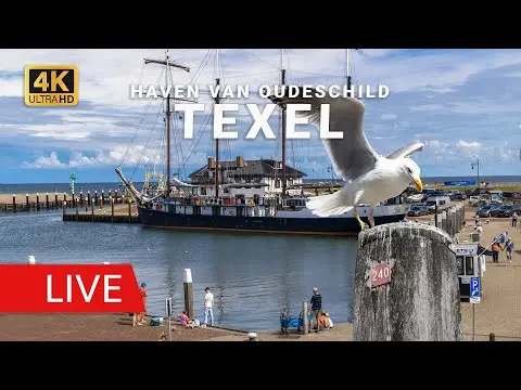 Laatste beeld van Oudeschild Fishermen's Harbor Texel