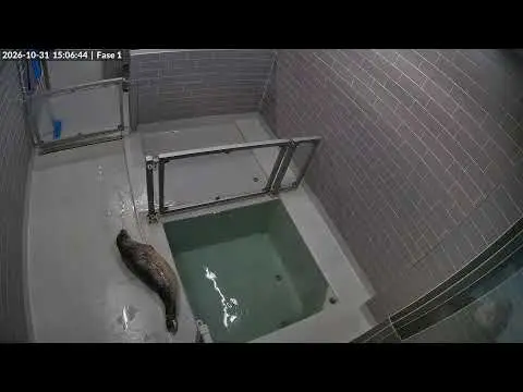 Laatste beeld van Zeehondencentrum Lauwersoog fase 1