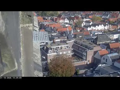 Laatste beeld van Slechtvalken Onze Lieve Vrouwetoren 2