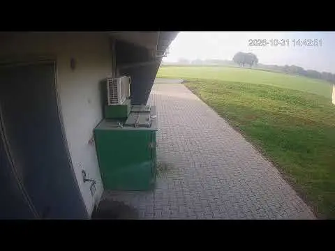 Laatste beeld van Kipster Venray cam 5