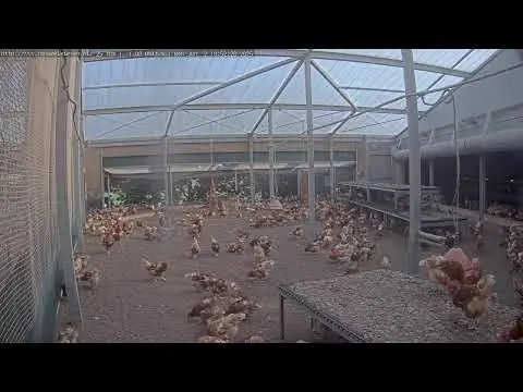 Laatste beeld van Rondeel Eieren